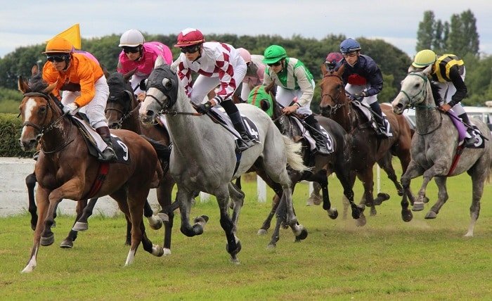 Courses de Chevaux